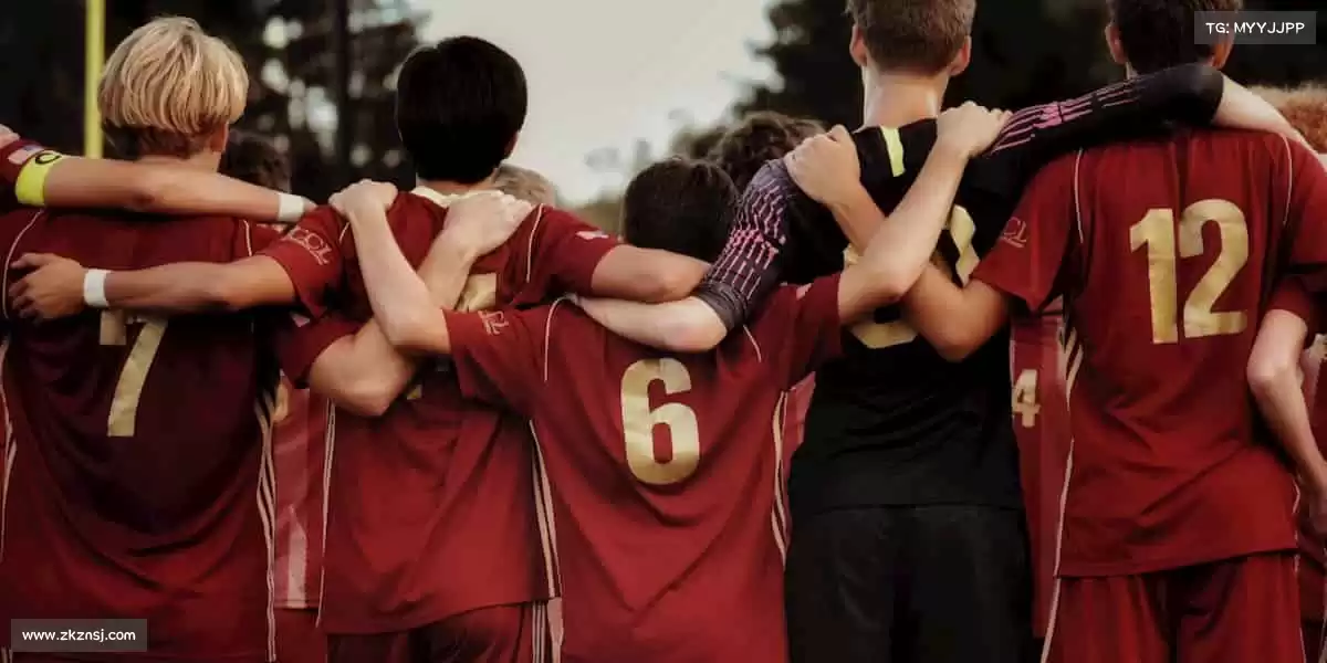 行业领先的理由